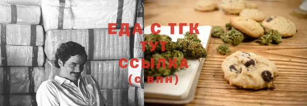 дживик Няндома