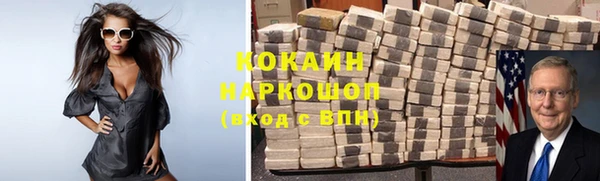 дживик Няндома