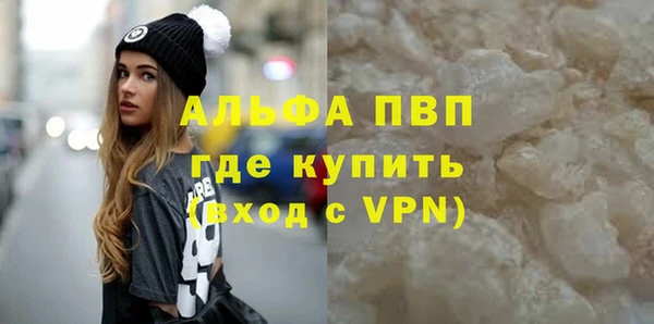 дживик Няндома