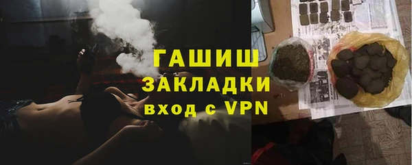 дживик Няндома