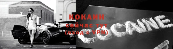 дживик Няндома
