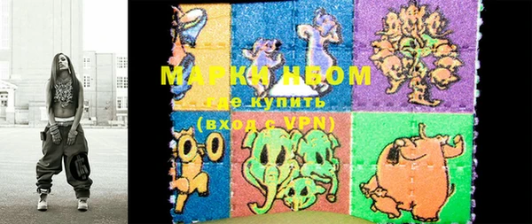 дживик Няндома