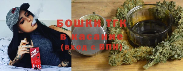 дживик Няндома