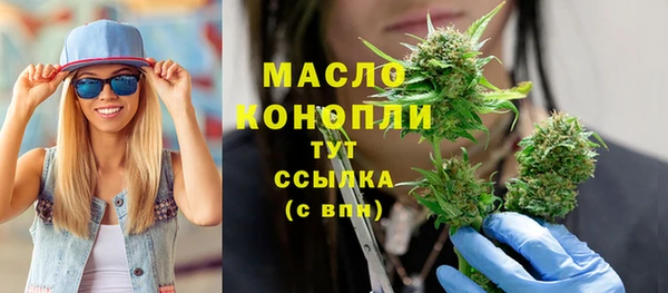 дживик Няндома