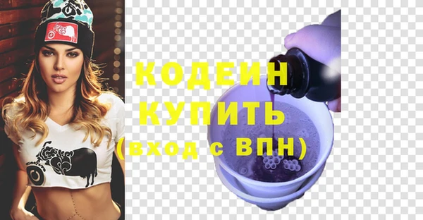 дживик Няндома